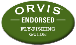 orvis endorsed